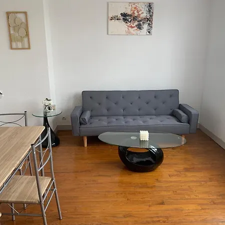 Apartment Cosy Vue Cathedrale - Parking Albi